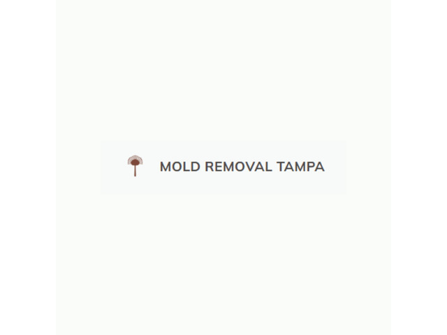 Mold Removal Tampa