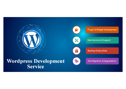 Take services from the best WordPress Development Company!