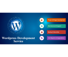 Take services from the best WordPress Development Company!