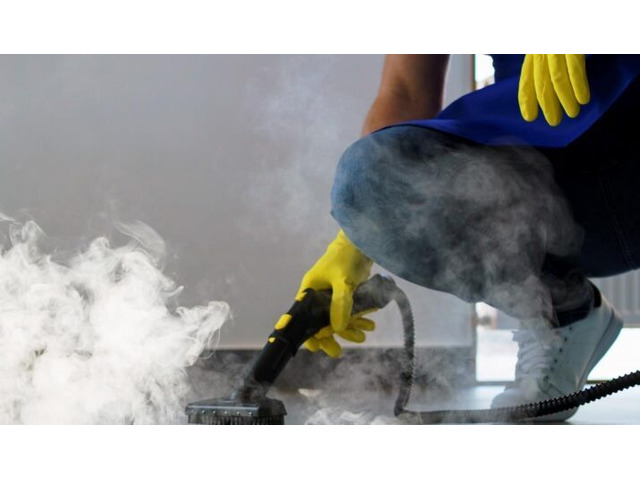 Expert Local Carpet Cleaning Using Low-Moisture Technology | Ezydry