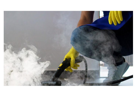 Expert Local Carpet Cleaning Using Low-Moisture Technology | Ezydry