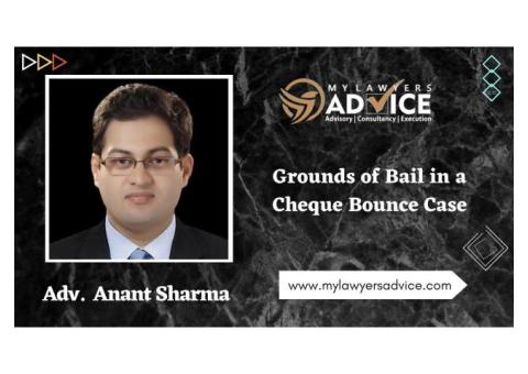Grounds of Bail in a Cheque Bounce Case