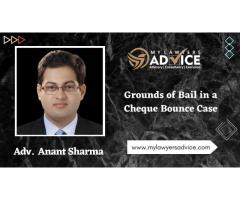 Grounds of Bail in a Cheque Bounce Case