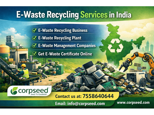 Set Up Your E-Waste Recycling Plant Today