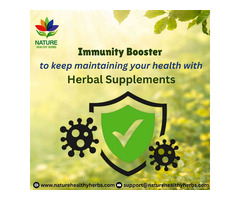 Best Immunity Booster to boost your health with herbal supplements