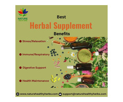 Best Herbal Supplement