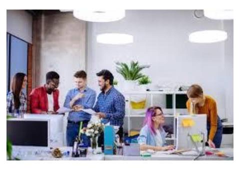 Elevating Brands with Roar Media: Miami's Premier Branding Agency?