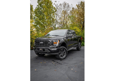 Trucks & Ford Cars for Sale/Rent