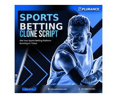 Sports Betting Clone App Engineered for Non-Stop Action