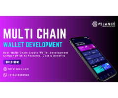 Multi-Chain Crypto Wallet Development Company - Hivelance