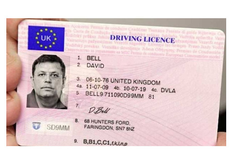 Buy ID Cards Online