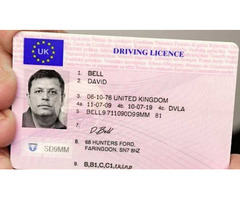 Buy ID Cards Online
