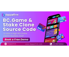 Stake and BC.Game Clone Source Code