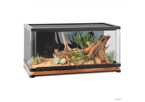 Title: Indoor Terrarium Setup for Reptiles