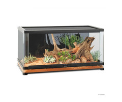 Title: Indoor Terrarium Setup for Reptiles - 1/1