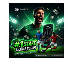 #1 Stake Clone Script - Online Casino Sports Betting Software