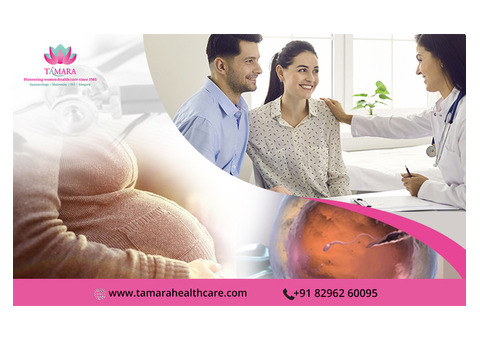 Start Your Family with the Best IVF Doctor in Bangalore
