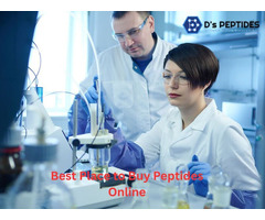 Best Place to Buy Peptides Online for Research Use