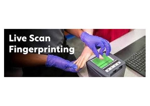 Livescan Fingerprinting Cost