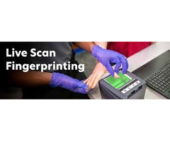 Livescan Fingerprinting Cost