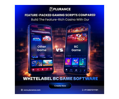 Launch a Multi-Game Platform with BC Game Clone App - 1/1