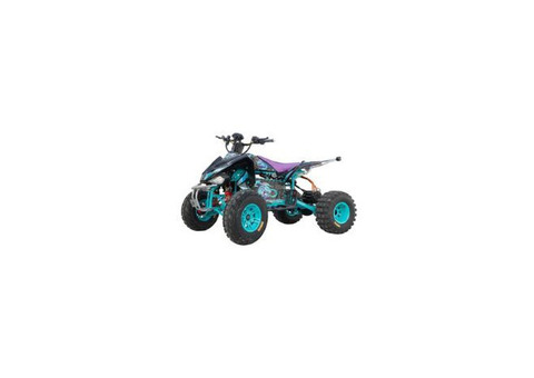 Toyzinn UAE - Quad Bikes & Electric Cars Online Store