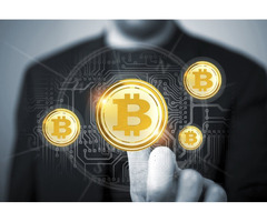 BTC Flash and USDT Flash software - 1/1