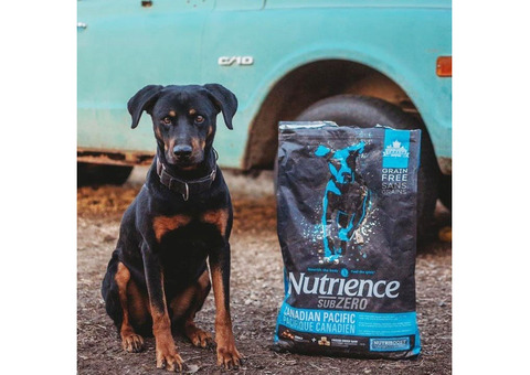 Top Dog Food Brand in India – Nutrience Now Available