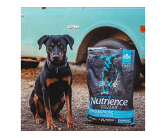 Top Dog Food Brand in India – Nutrience Now Available