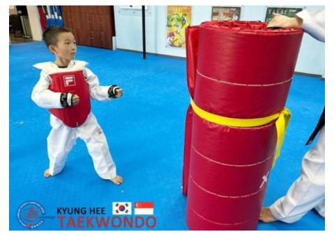 TKD is an excellent way 2improve your physical n mental health