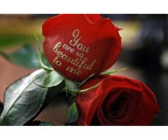 Rose Delivery services in Vancouver