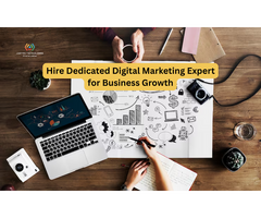 Hire a Dedicated Digital Marketing Expert for Business Growth
