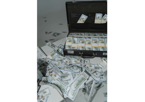 High Quality Undetectable Counterfeit US Dollar
