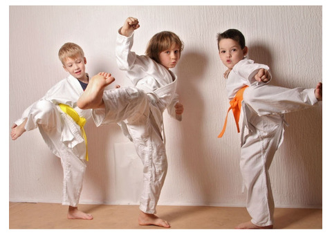 Taekwondo Toddler Classes​
