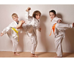 Taekwondo Toddler Classes​