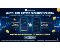 Launch Your Crypto Exchange with Trioangle’s White Label Solution - 1/1