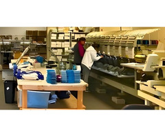 Corporate Apparel in Southwest Florida for Consistent Team Appearance