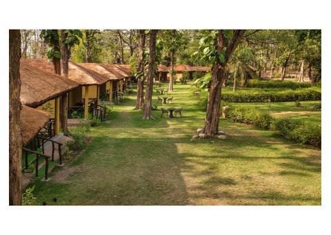 Bijrani Jungle Cottages for Refreshing Forest Stay In Jim Corbett