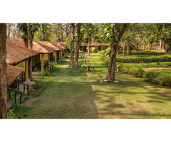 Bijrani Jungle Cottages for Refreshing Forest Stay In Jim Corbett