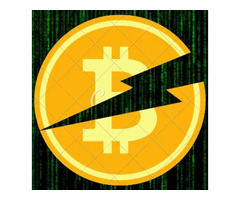 GAME CHANGING FLASH BITCOIN & FLASH USDT SOFTWARE