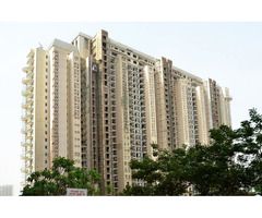 DLF The Magnolias Luxury Living in Gurgaon