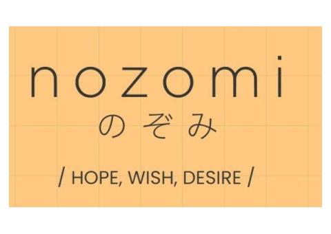 Family friendly Japanese restaurant Singapore