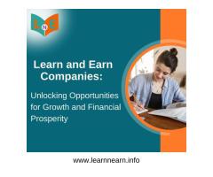 Learn N Earn Company A Closer Look at Customer Reviews