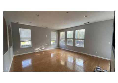 Interior House Painting Cost: Smart Budgeting with Mister Paint