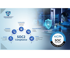 SOC 2 Monitoring Solutions India - Hedge Mount - 1/1