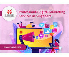 Professional Digital Marketing Services in Singapore