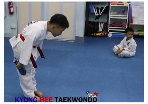 How about learning TKD to strengthen your personal qualities