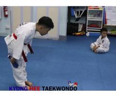 How about learning TKD to strengthen your personal qualities