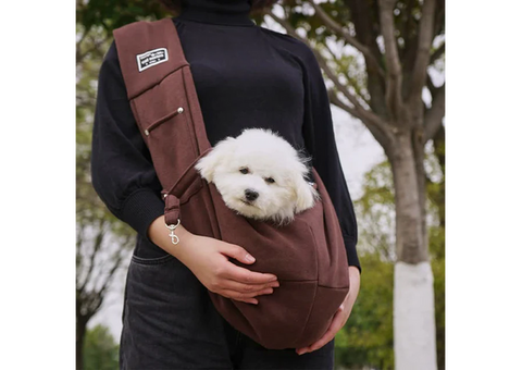 Improve Pet’s Comfort Level with Pet Care Products