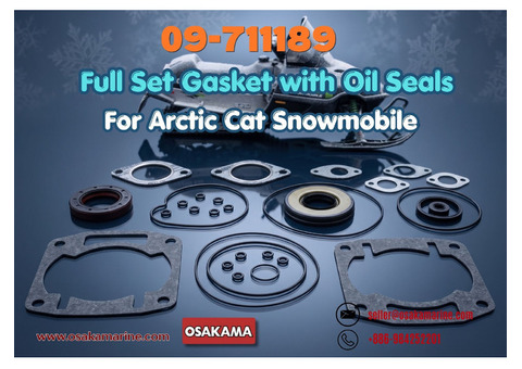 09-711189 Full Gasket Kit w/ Oil Seals For Arctic Cat Snowmobile